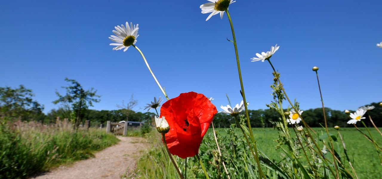 weerfotomeiopgewarmdBS-1280x600