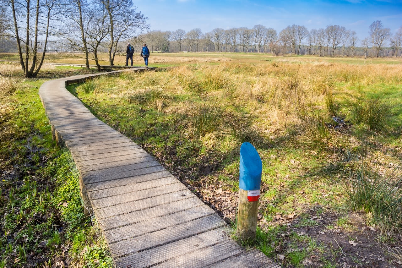 Het Pieterpad bij Oudemolen. Foto: AS / Venemama