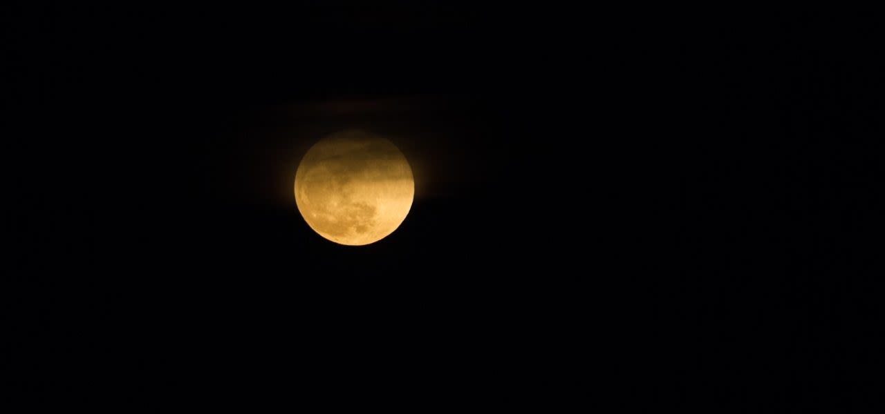 bloedmaan2-1280x600