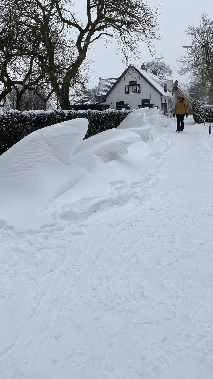 33f8bad7-m-van-boxel-rare-sneeuwduinen