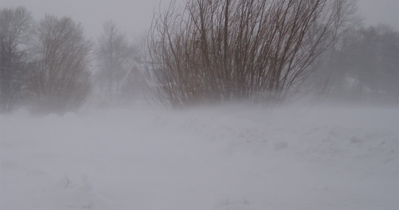 7a6cecf0-jannes-wiersema-sneeuwjacht-in-2010