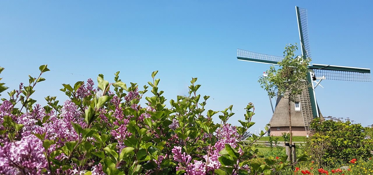 Jannes-Wiersema-Extreem-warme-en-zonnige-mei-1280x600