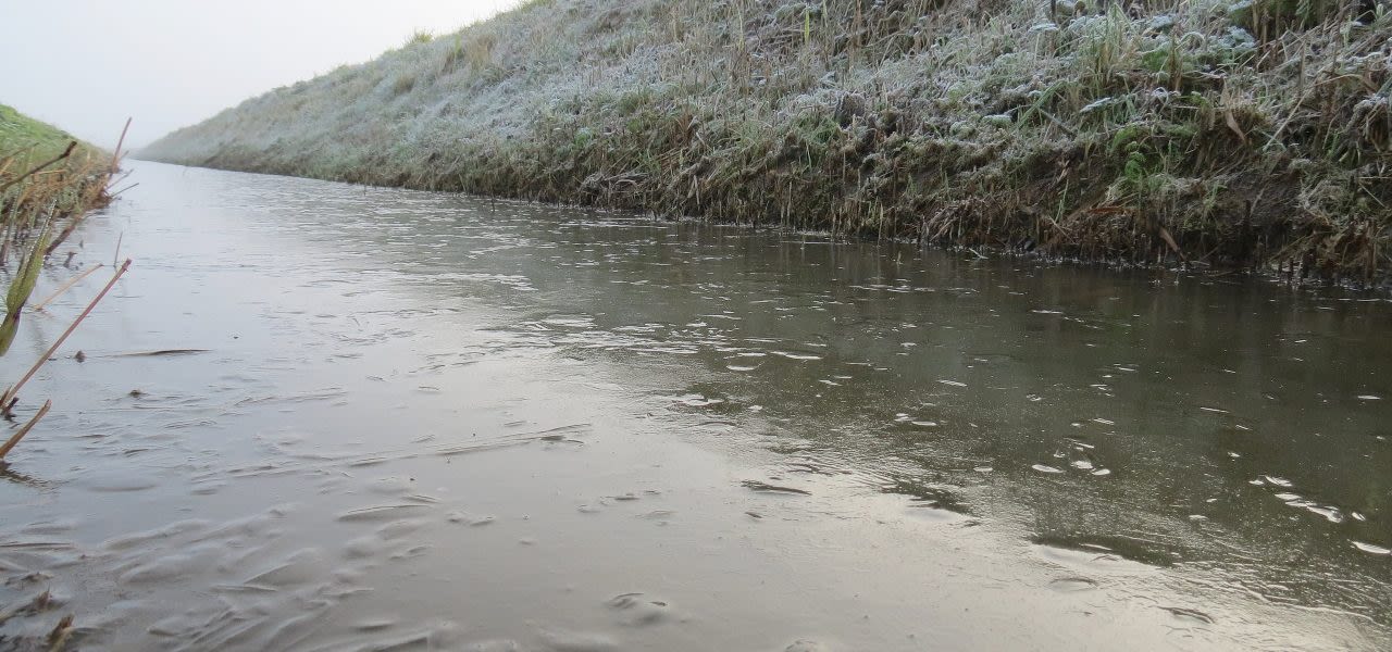 Eerste-lokale-ijsdag-van-de-winter-1280x600