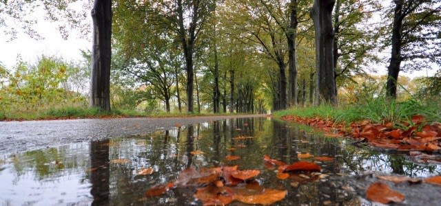weerfotooktoberBE-e1572605771480