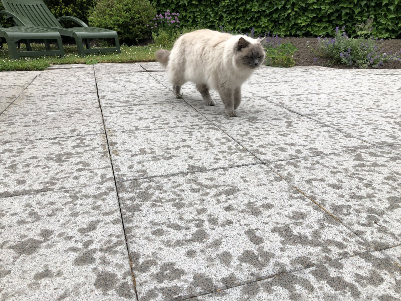 Jolanda-Bakker-poes-gaat-naar-binnen-vanwege-regen