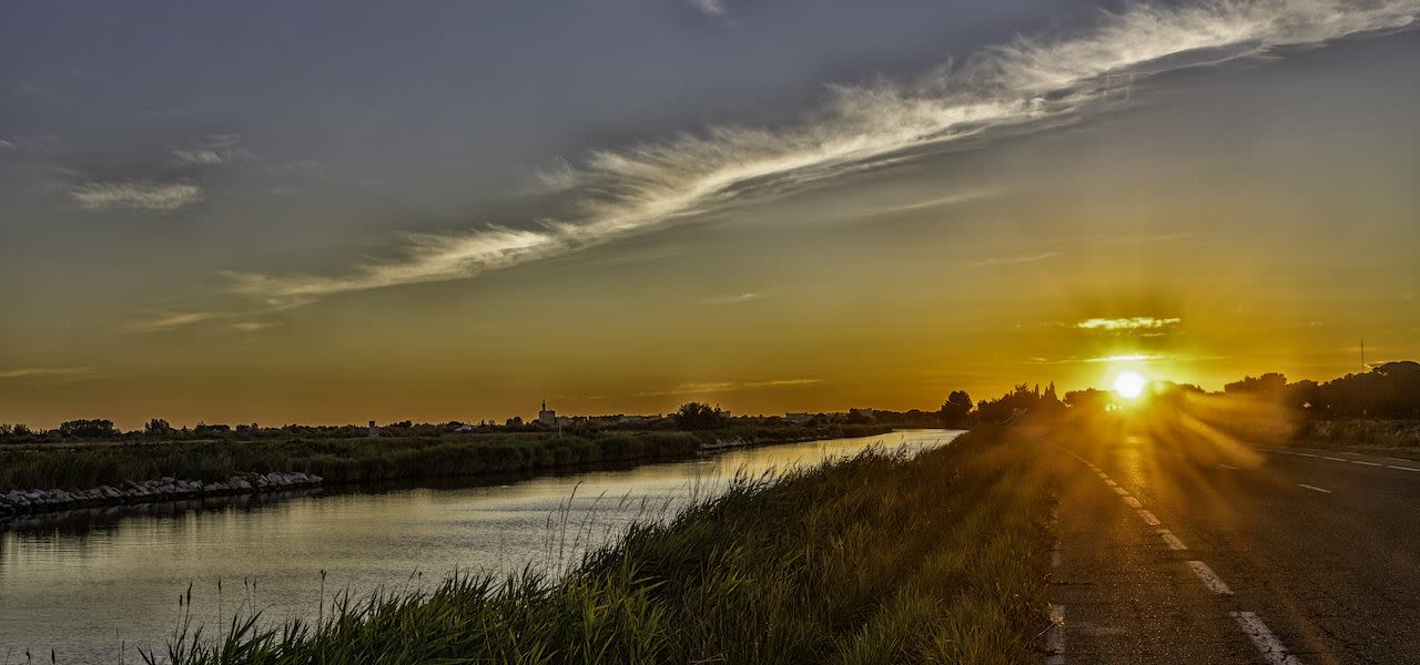 57194b21-zomersmog-door-ozon-in-nederland-1280x600