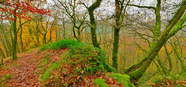 Herfst-e1414668264214