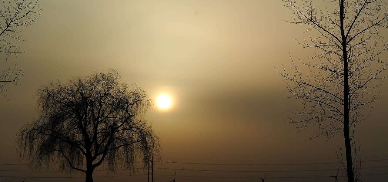 fe380323-weerfotonellybartels-1280x600