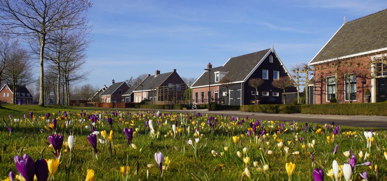 5fa113ec-piet-grim-krokussen-bloeien-in-februari-2019-1280x600