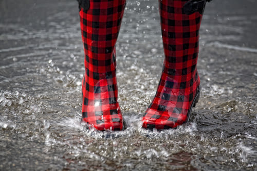 regenzomer