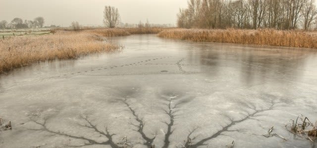 IJsdag-Diksmuide-e1522759368569