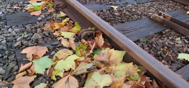 Bladeren-op-het-spoor-e1477994806309