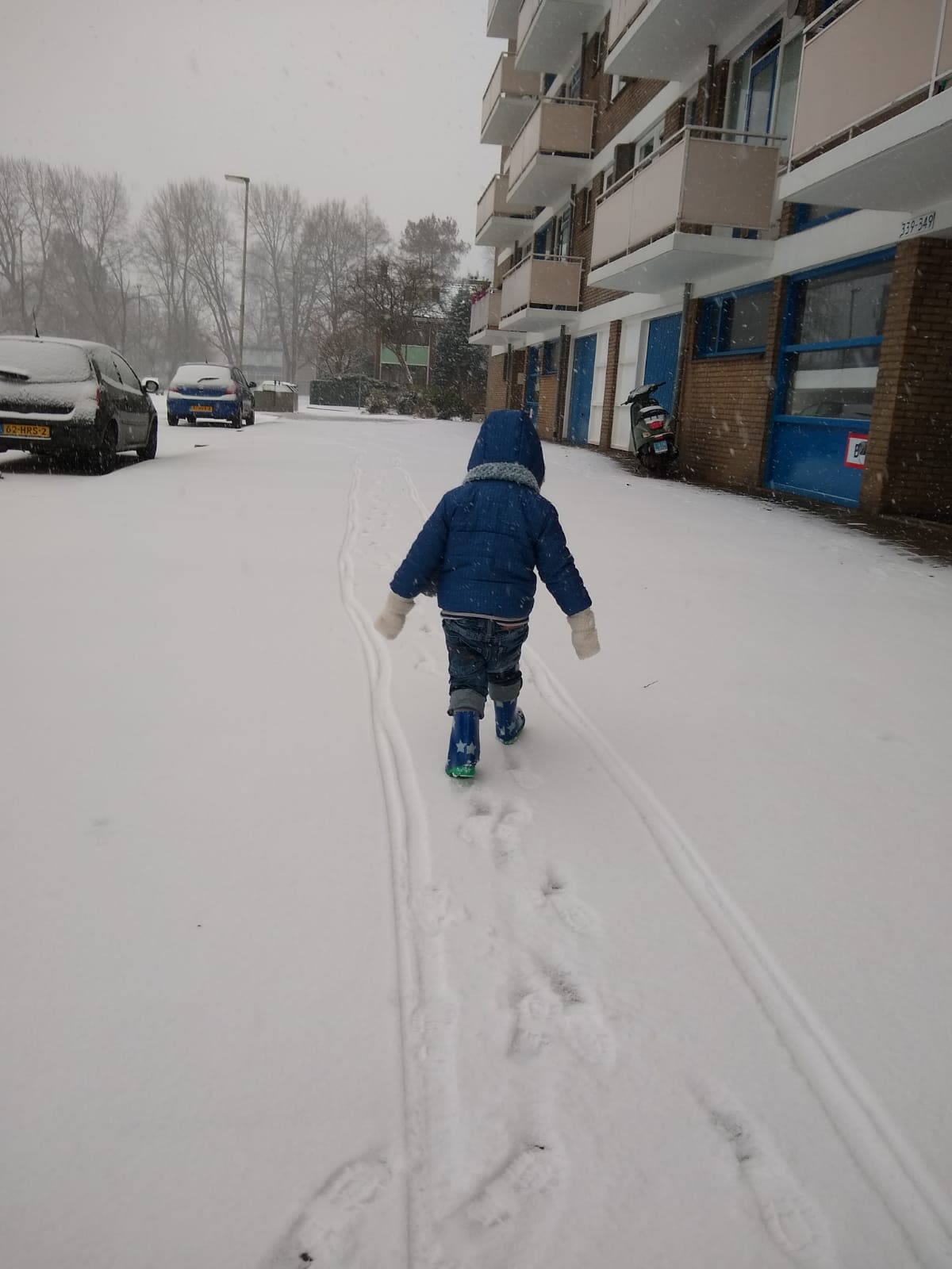 Sneeuwpret-in-Rotterdam