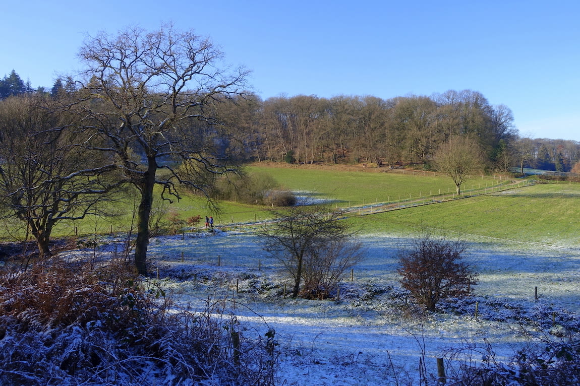 b15ee2f7-winter-of-geen-winter