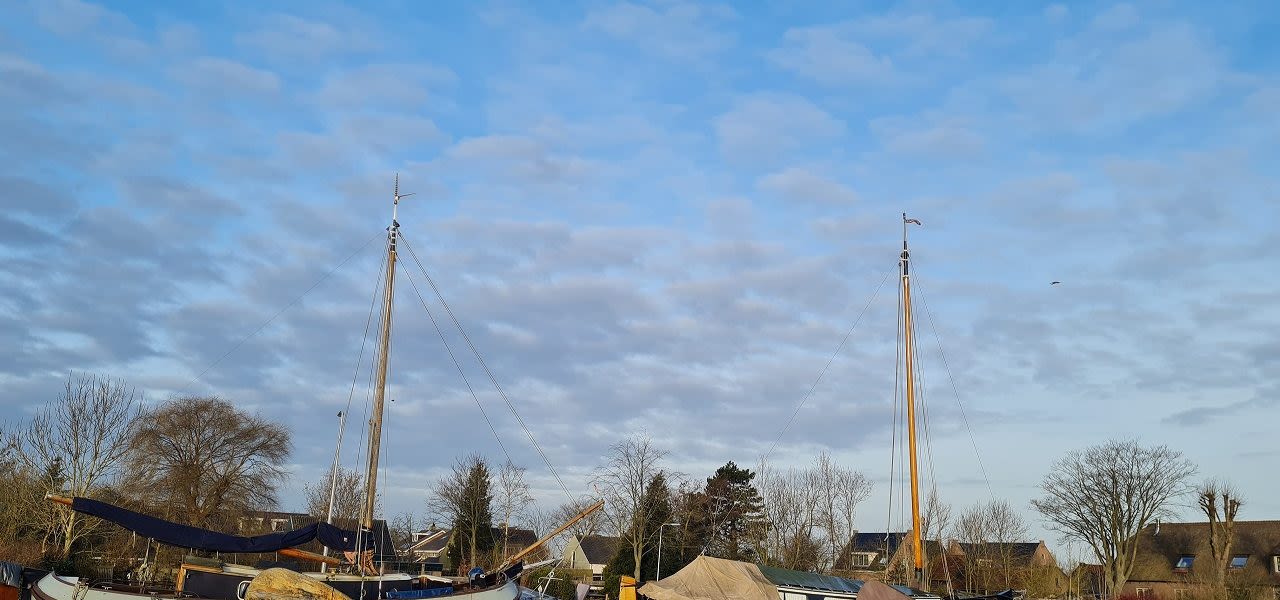 5e9ae735-weerfotomarianne-de-blauw-ganzevles-1280x600