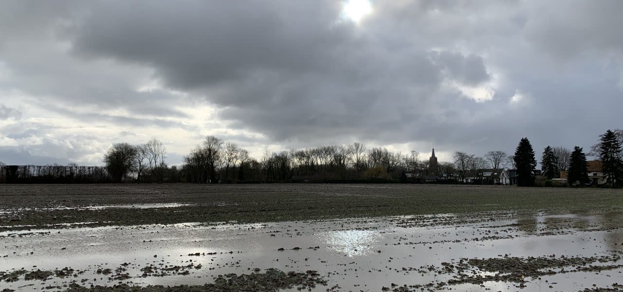 februarifoto-1280x600