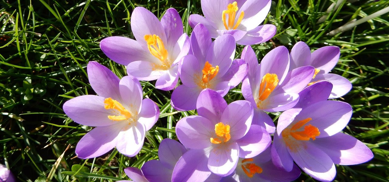c45a5436-weerfotoss-1280x600