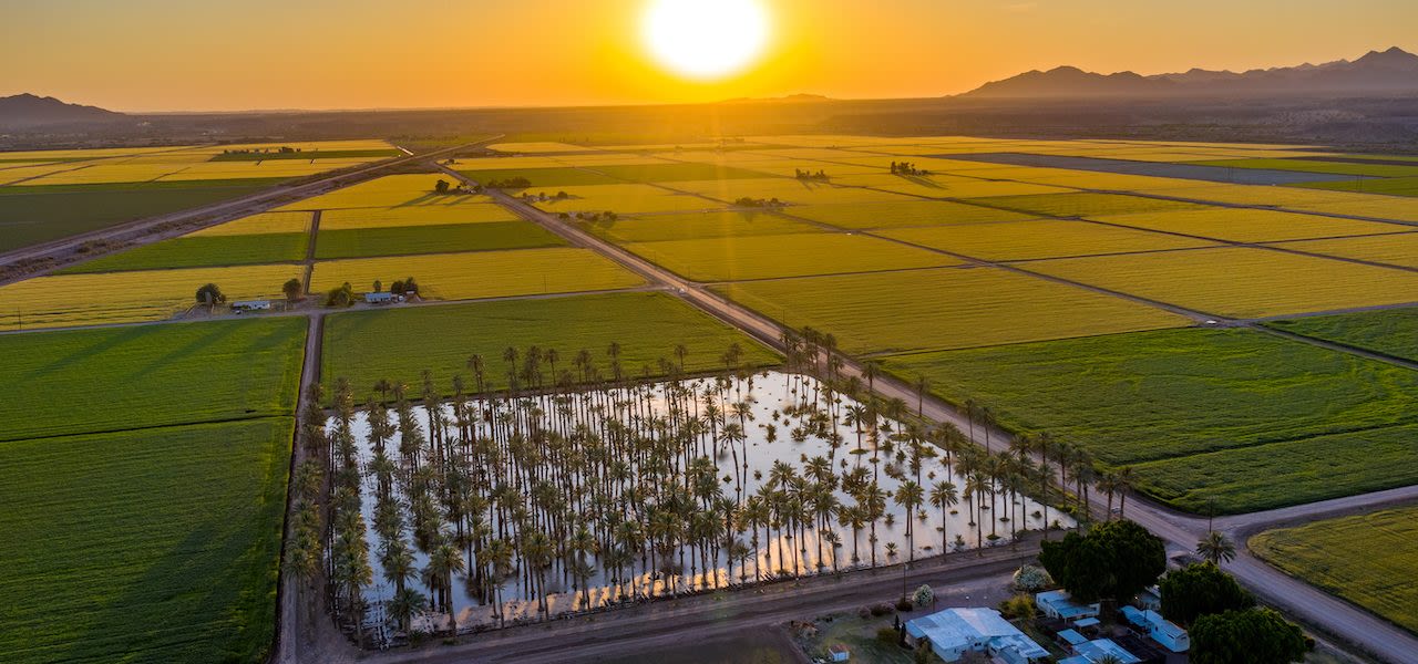 Yuma. Foto: Adobe Stock / Reagan