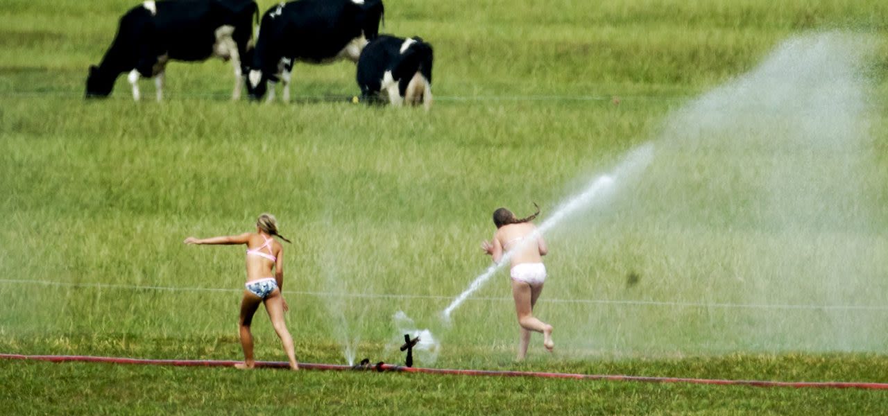 Droog-warm-en-zonnig-1280x600