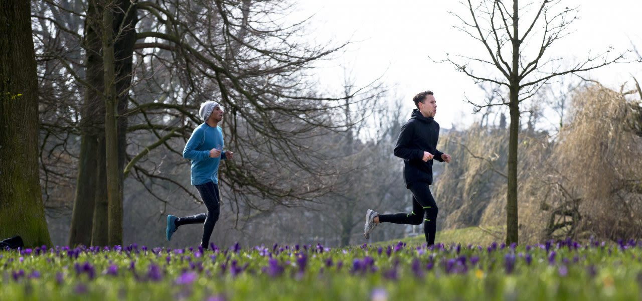 Lente-in-februari-met-bloeiende-krokussen-1280x600