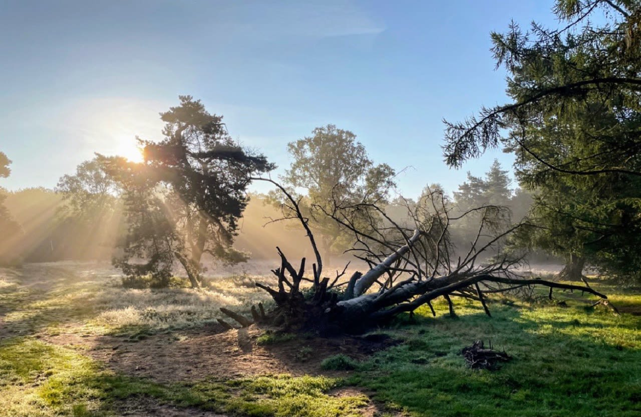zonsopkomst in de nazomer