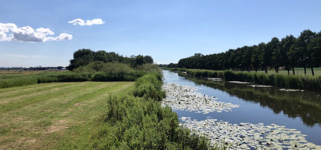 weerfotozomer-1280x600