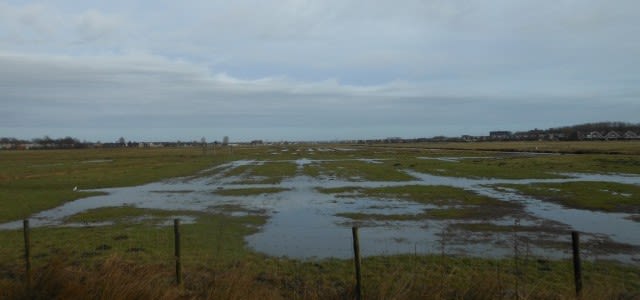 Februari_zacht_somber_en_nat_Foto_Gerard_Kiewiet_a9kkox-e1489066659661-640x300
