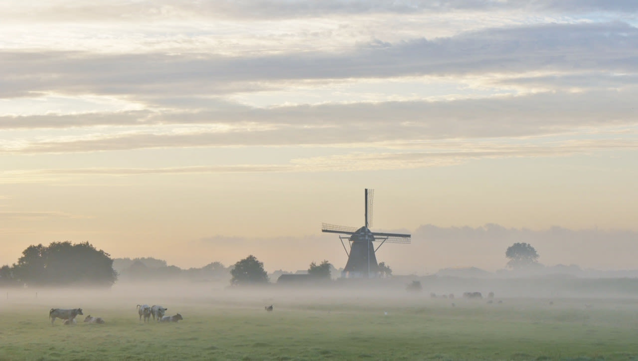 aa7e8753-ton-wesselius-juli-2020-grondmist-op-koude-ochtend-bij-molen-zuid-holland-in-juli