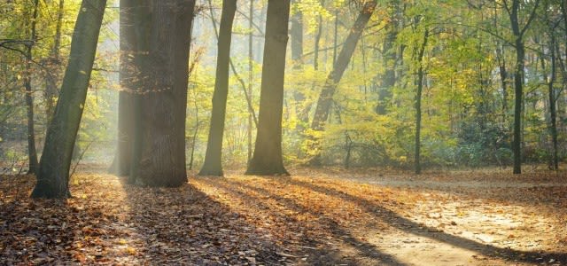 Zacht-herfstweer-e1446714568671-640x300