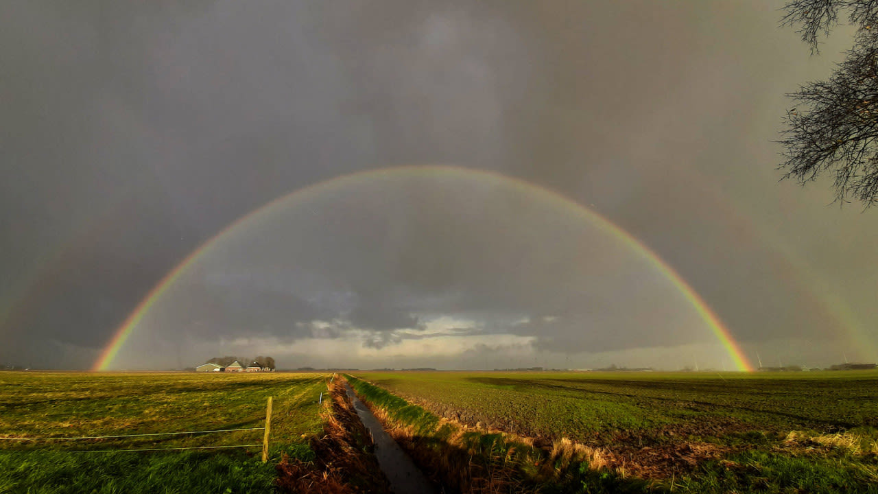 Foto: Jannes Wiersema