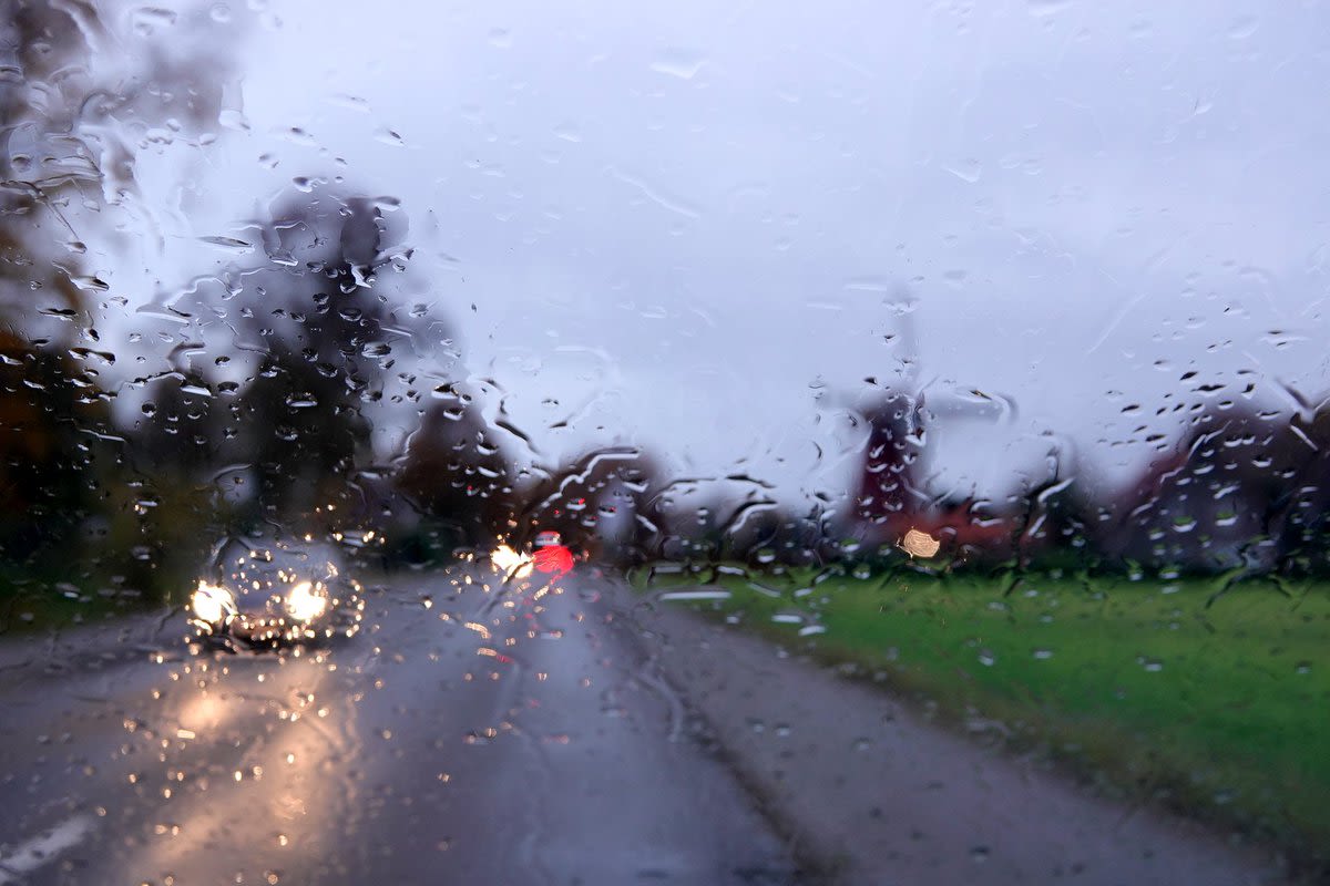 Sombere decemberdag met motregen en grijze luchten. Foto: Ben Saanen