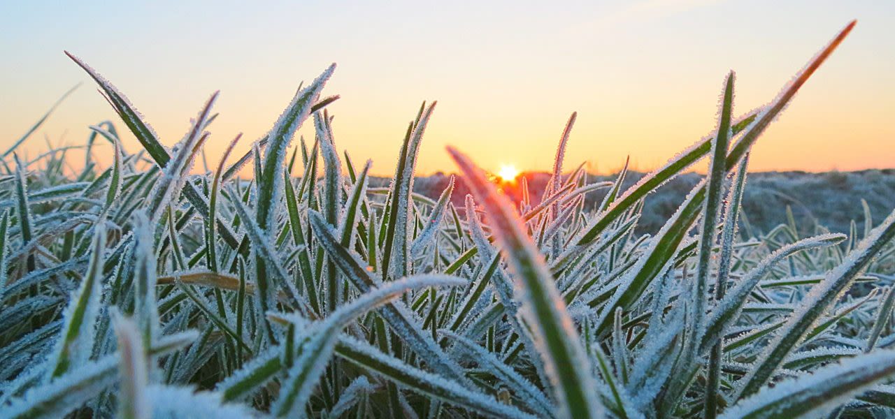 lengende-dagen-1280x600