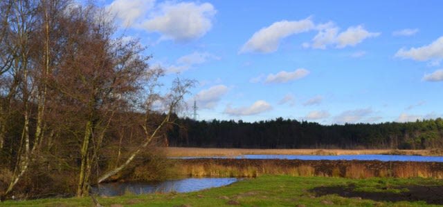 Midden-Limburg_10012014_Annie-Sampers-Geraeds_crop