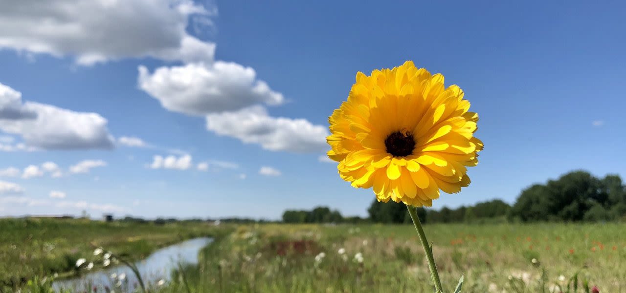 Jolanda-Bakker-weeroverzicht-mei-2020-van-alle-maanden-op-twee-na-zonnigst-1280x600