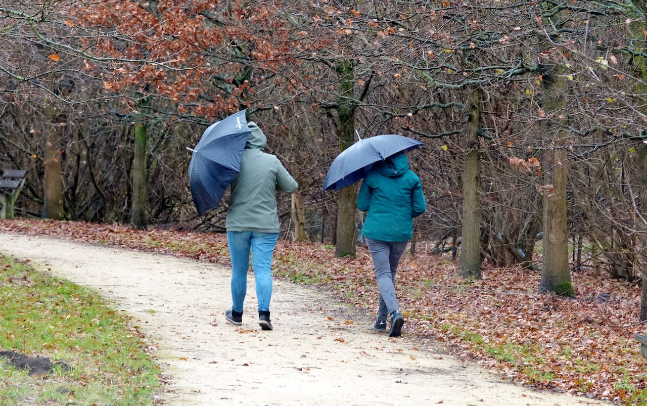 a278f768-ton-wesselius-paraplu-tegen-de-wind-en-regen-houden