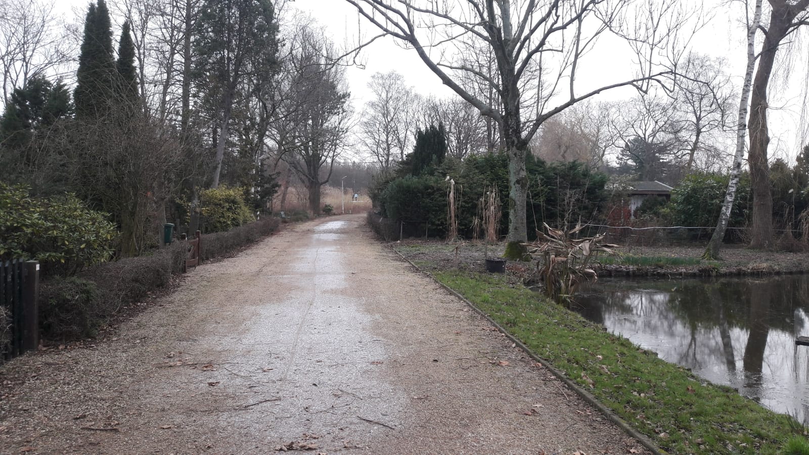Sneeuwval-in-Amsterdam