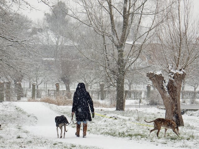 c66eb550-marina-nefkens-sneeuw-in-limburg-januari-verkleind
