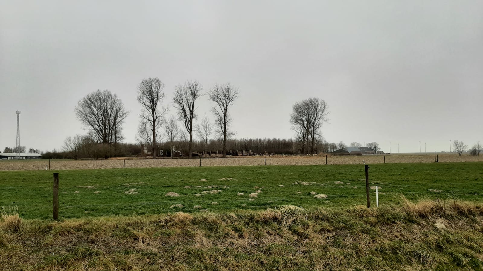 28c0de79-geen-sneeuw-in-groningen