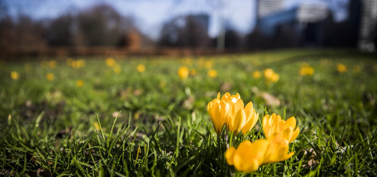ANP-natuur-voor-op-schema-1280x600