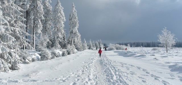 Sneeuw-op-de-Hoge-Venen-in-sneeuwrijke-maar-sombere-januari-verkleind-e1549056032300
