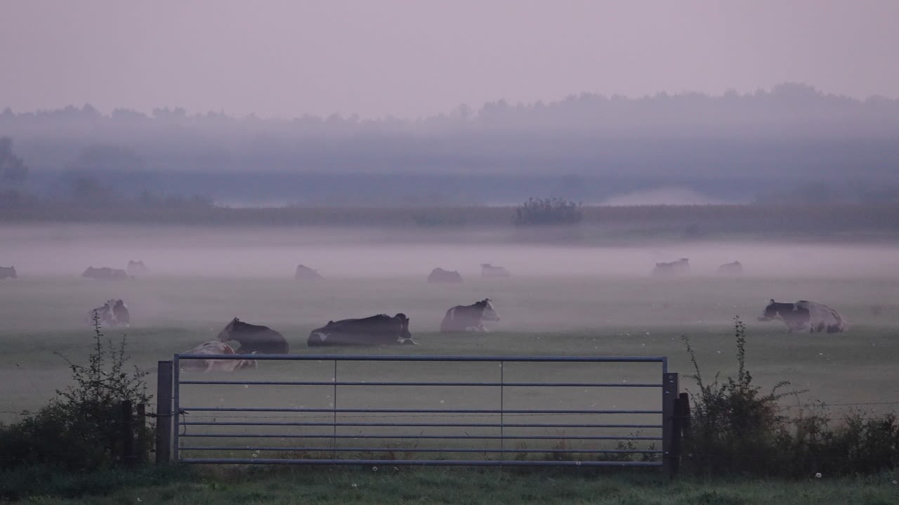 Mist komt in september vaak voor. Foto: Ben Saanen.