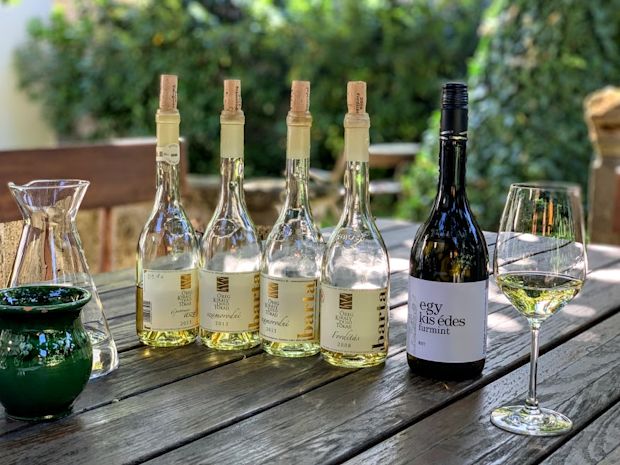 barta-winery-tokaj-2
