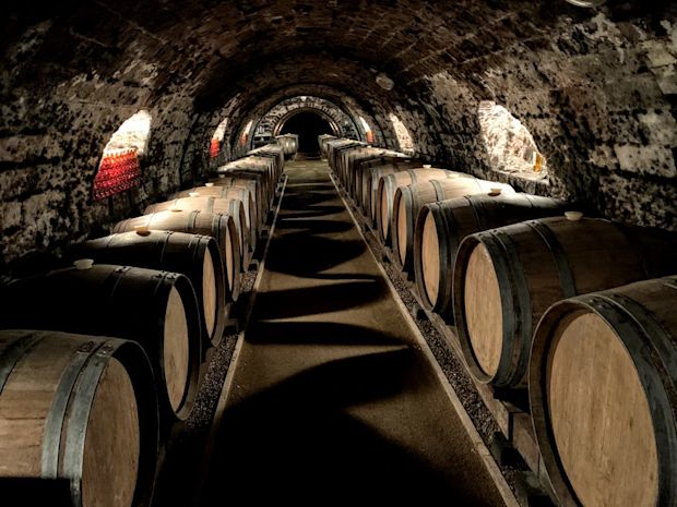 oremus-winery-cellar-tokaj