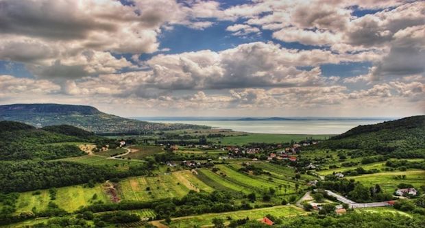 balaton-vineyards