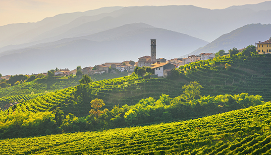Veneto of precious vineyards
