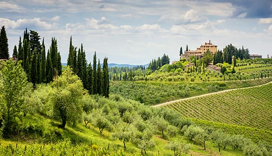 Tuscany, between beauty and ancient history