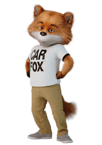 Pewny siebie CARFOX stoi z rękami na biodrach. Pewny siebie CARFOX stoi z rękami na biodrach.