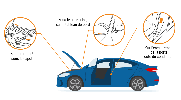 Où se trouve le NIV du véhicule ? Où se trouve le NIV du véhicule ?