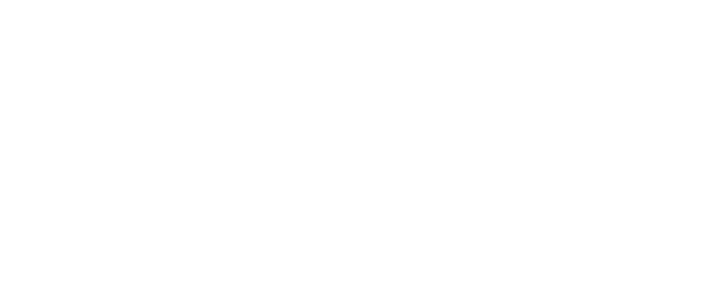 Boehringer-transparent