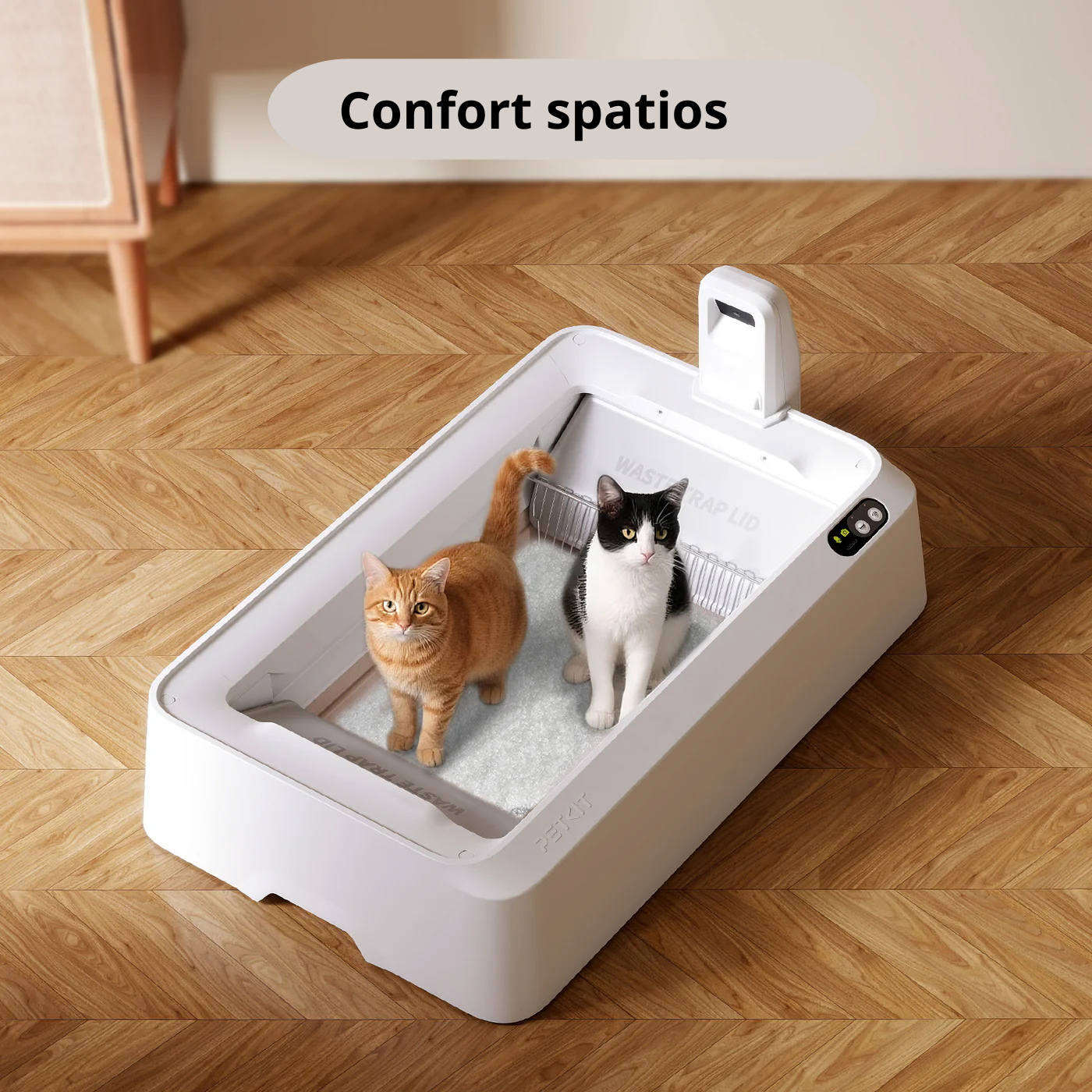 litiera pentru pisici